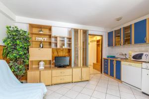 Kuchyň nebo kuchyňský kout v ubytování Apartments Slavko