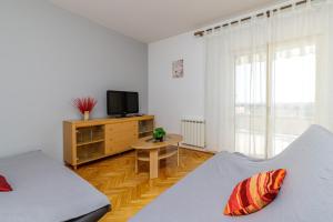 TV a/nebo společenská místnost v ubytování Apartments Slavko