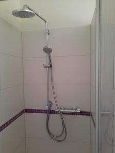 a shower with a shower head in a bathroom at Ferienwohnung "Zum Haidmann" in Luhdorf
