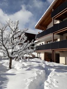a snow covered tree in front of a building at Haus Brigitte in Serfaus