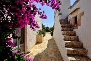 Fotografie z fotogalerie ubytování Masseria Trulli e Vigne v destinaci Martina Franca