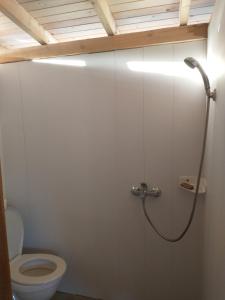 a bathroom with a toilet and a shower stall at каравана Марбея in Chernomorets