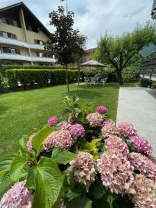 A garden outside Casa Dolce Casa