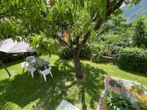 A garden outside Casa Dolce Casa