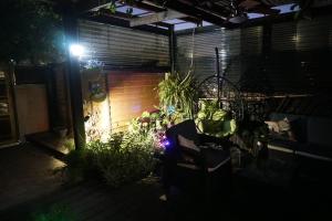 Ein Garten an der Unterkunft Passion Fruit Apartment