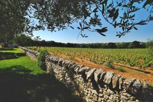 Zahrada ubytování Masseria Trulli e Vigne