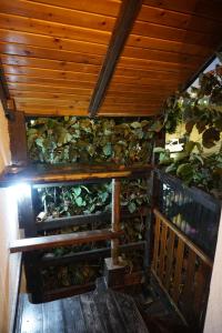 Ein Balkon oder eine Terrasse in der Unterkunft Passion Fruit Apartment