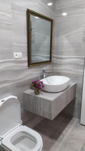 庫塔伊西的住宿－Elegant Hotel，一间带水槽、卫生间和镜子的浴室