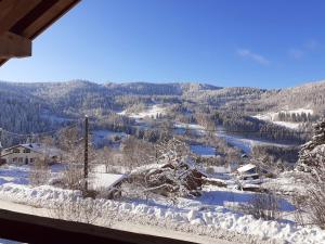 Billede fra billedgalleriet på Chalet ''la cabane ô Pierres'' 12 pers spa et sauna i Ventron + 39 billeder
