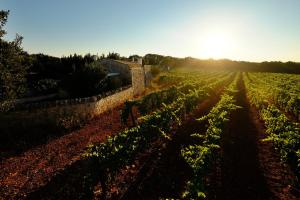 Fotografie z fotogalerie ubytování Masseria Trulli e Vigne v destinaci Martina Franca