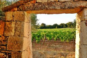 Fotografie z fotogalerie ubytování Masseria Trulli e Vigne v destinaci Martina Franca