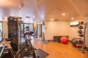 een kamer met een fitnessruimte met een loopband en gewichten bij Strawberry Park Splendid Slopes View in Beaver Creek