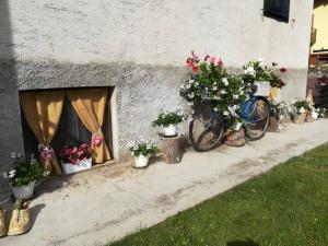 Jízda na kole v ubytování Ca' Albano nebo okolí