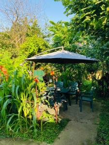 Zahrada ubytování Guest House Barbi