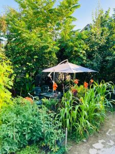Zahrada ubytování Guest House Barbi