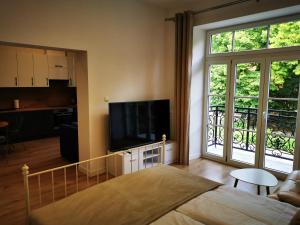 TV a/nebo společenská místnost v ubytování APARTAMENTY PRZY PARKU- Parking GRATIS!!!