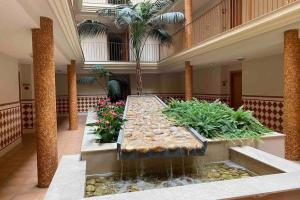 Zahrada ubytování Precioso ático en complejo residencial con piscina