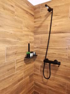 La salle de bains est pourvue d'une douche et d'un mur en bois. dans l'établissement Medias Cozy Studio, à Mediaş