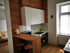 Kuchyň nebo kuchyňský kout v ubytování APARTAMENTY PRZY PARKU- Parking GRATIS!!!