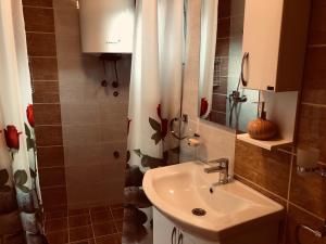een badkamer met wastafel en douche bij Apartments Panoramic Paradise in Kotor +40 foto's