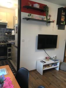 Kuchyňa alebo kuchynka v ubytovaní Apartment Panarea + 30 fotografií