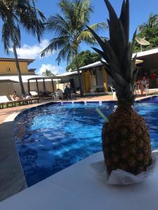 Bazén v ubytování Pousada Paraiso da Barra nebo v jeho okolí