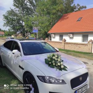 Fotografie z fotogalerie ubytování Mirella rooms v destinaci Palić