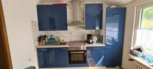 a blue kitchen with a sink and blue cabinets at Lichtblick in Wangerland