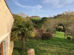 a palm tree in a field next to a house at Residence La Borde in Plavilla