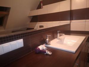 Φωτογραφία από το άλμπουμ του Apartamenty LENA 16 TWOJE poddasze σε Raciborz +14 φωτογραφίες