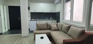 Kuchyň nebo kuchyňský kout v ubytování Apartmani Centar Loznica