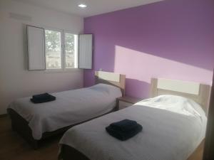 two beds in a room with purple walls at Monte da contenda in Campo Maior