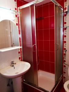 y baño con lavabo y ducha con azulejos rojos. en SRNA APARTMAN, en Vrnjačka Banja
