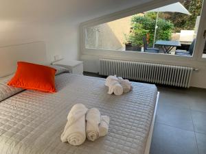 Fotografie z fotogalerie ubytování Volta's Dream v destinaci Como