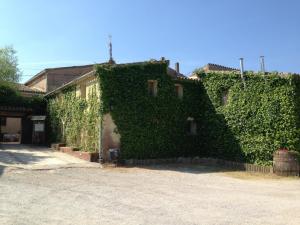 a building covered in green ivy next to a street at El Celler de la Guàrdia in Montserrat