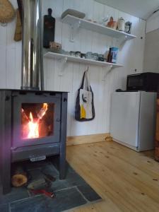 een open haard in een keuken met een fornuis bij Cabañita del bosque in Bariloche