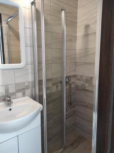 a bathroom with a shower and a sink at Garsoniera cocheta zona Coresi mall in Braşov