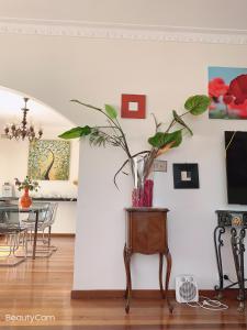 a living room with a table with a plant in a vase at Reservoir 短租 in Melbourne