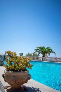 Der Swimmingpool an oder in der Nähe von Hotel Villa Rita