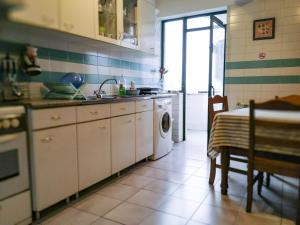 uma cozinha com um lavatório e uma máquina de lavar roupa em Alojamento Rocha em Viseu