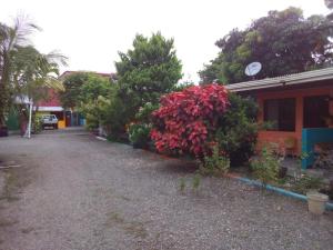 Gallery image of Cabinas Surf Side in Cahuita