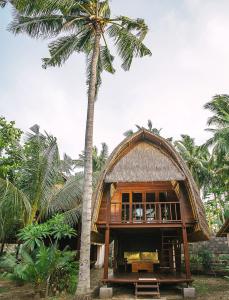 En have udenfor Sukanusa Luxury Huts