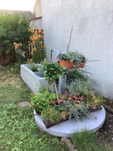 Vonkajšia záhrada v ubytovaní Ferienwohnung Casa Flora