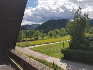 Příroda nedaleko apartmánu