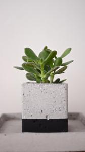 Imagen de la galería de Pénde Suites, en Livadion