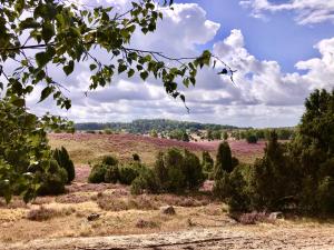 Paisaje cerca de este apartamento