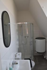 Kúpeľňa v ubytovaní Vila Vlaštovka