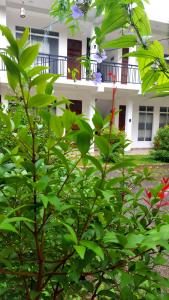 Zahrada ubytování La Serene Resort