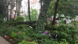 Vonkajšia záhrada v ubytovaní H&T Old Town Szeroka 36