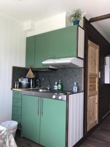 een keuken met groene kasten en een wastafel bij Private apartments!Oppdal Alpintun, Skisenter-Stølen in Oppdal